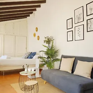  Appartement Stunning Attic With Private Terrace And Parking Optional
